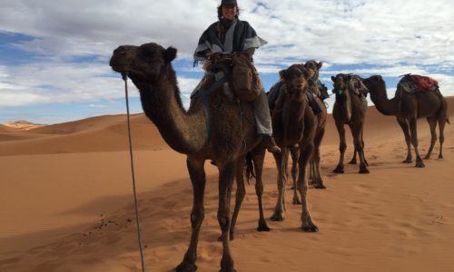 Morocco to Timbuktu An Arabian Adventure with Alice Morrison