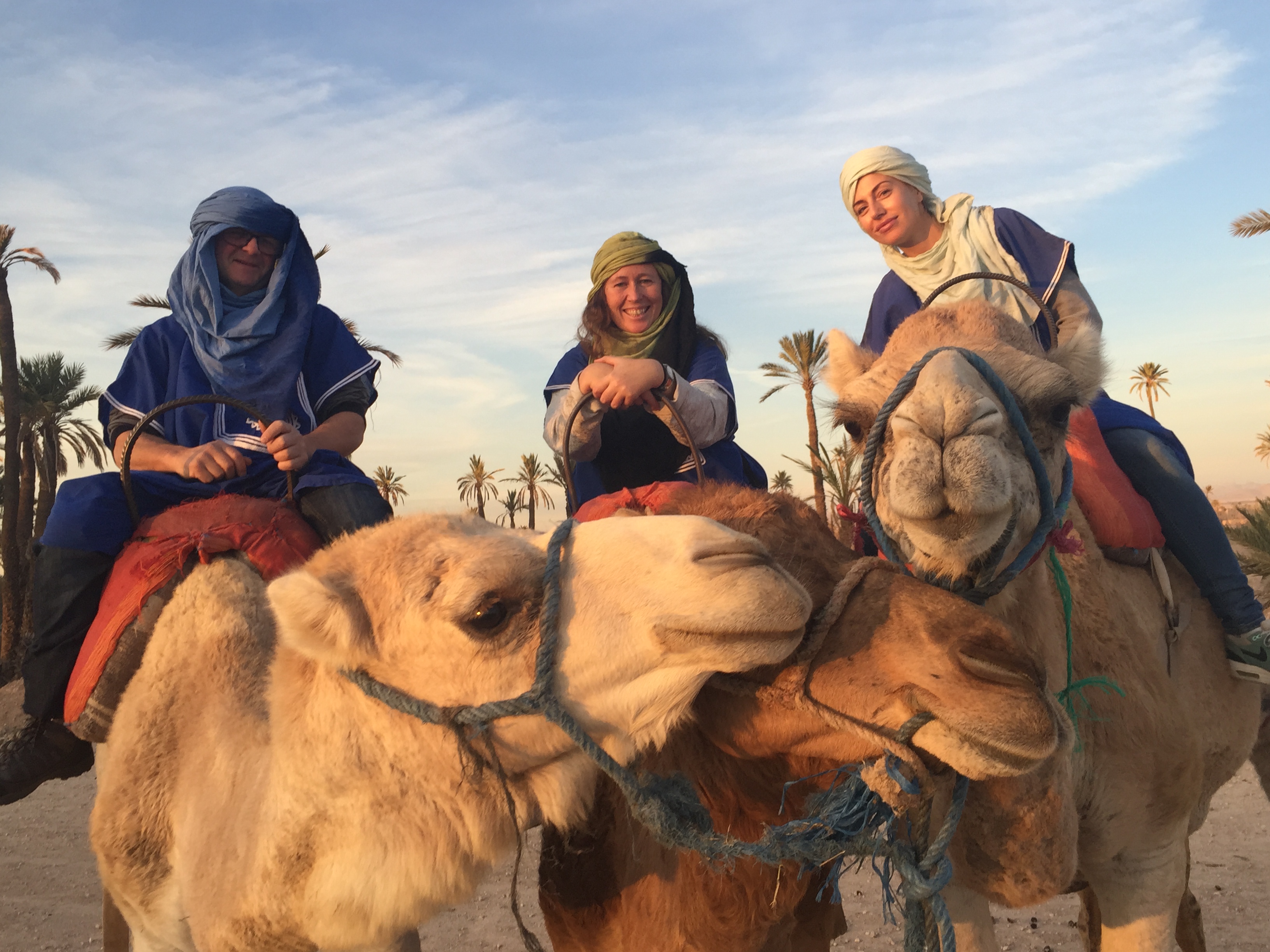 Camel riding in Marrakech