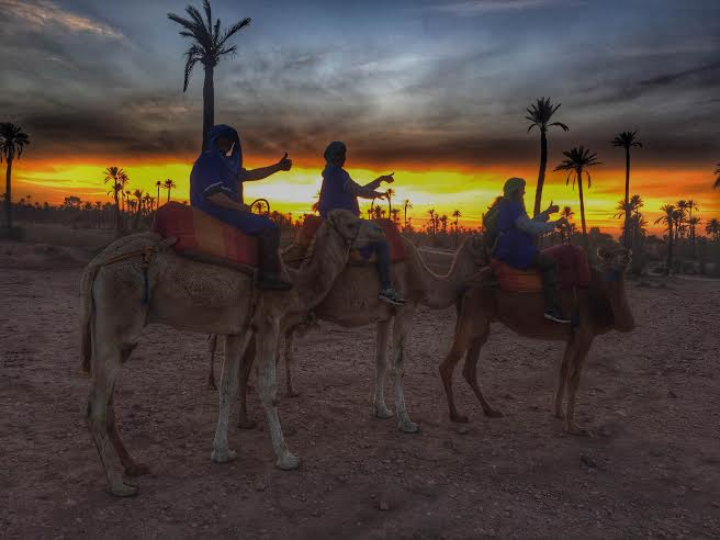 camel riding in marrakech