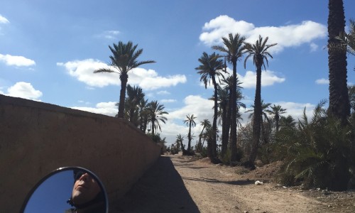 marrakech by vintage sidecar insiders experiences alice morrison alice outthere