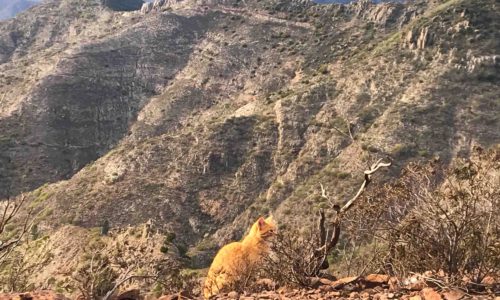 hiking mount teide tenerife alice morrison whereabouts holidays