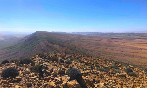 Guelmim desert