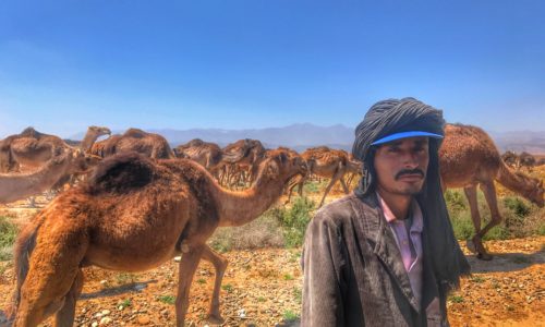 love in the desert